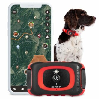 Hund mit GPS-Tracker und Smartphone-App