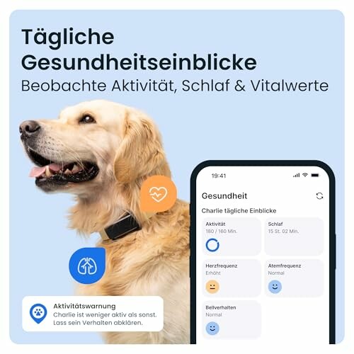 Hund mit Gesundheits-Tracking-App.