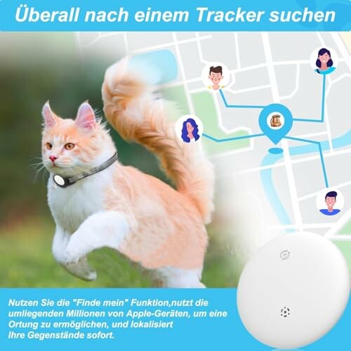 GPS Tracker Katze