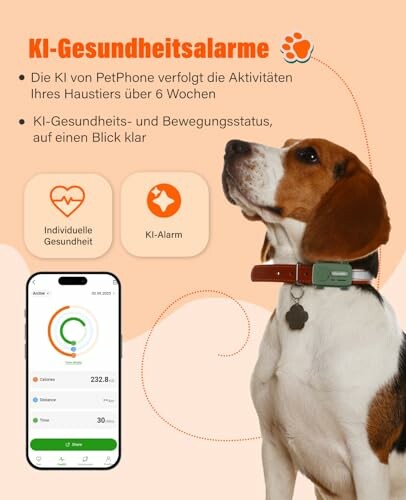 Hund mit Gesundheitsüberwachungshalsband und Smartphone-App.