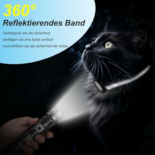 Schwarze Katze mit reflektierendem Halsband, beleuchtet in der Dunkelheit.