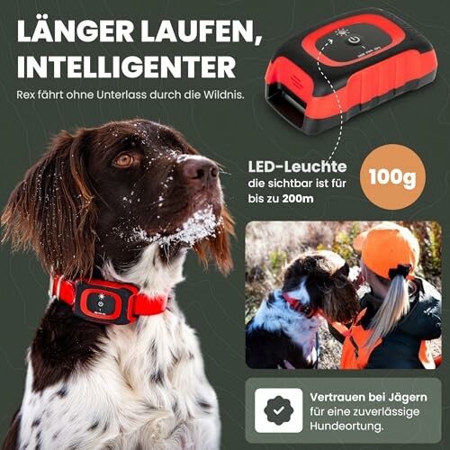 Hund mit GPS-Halsband und Leuchteinheit, geeignet für Jagd.
